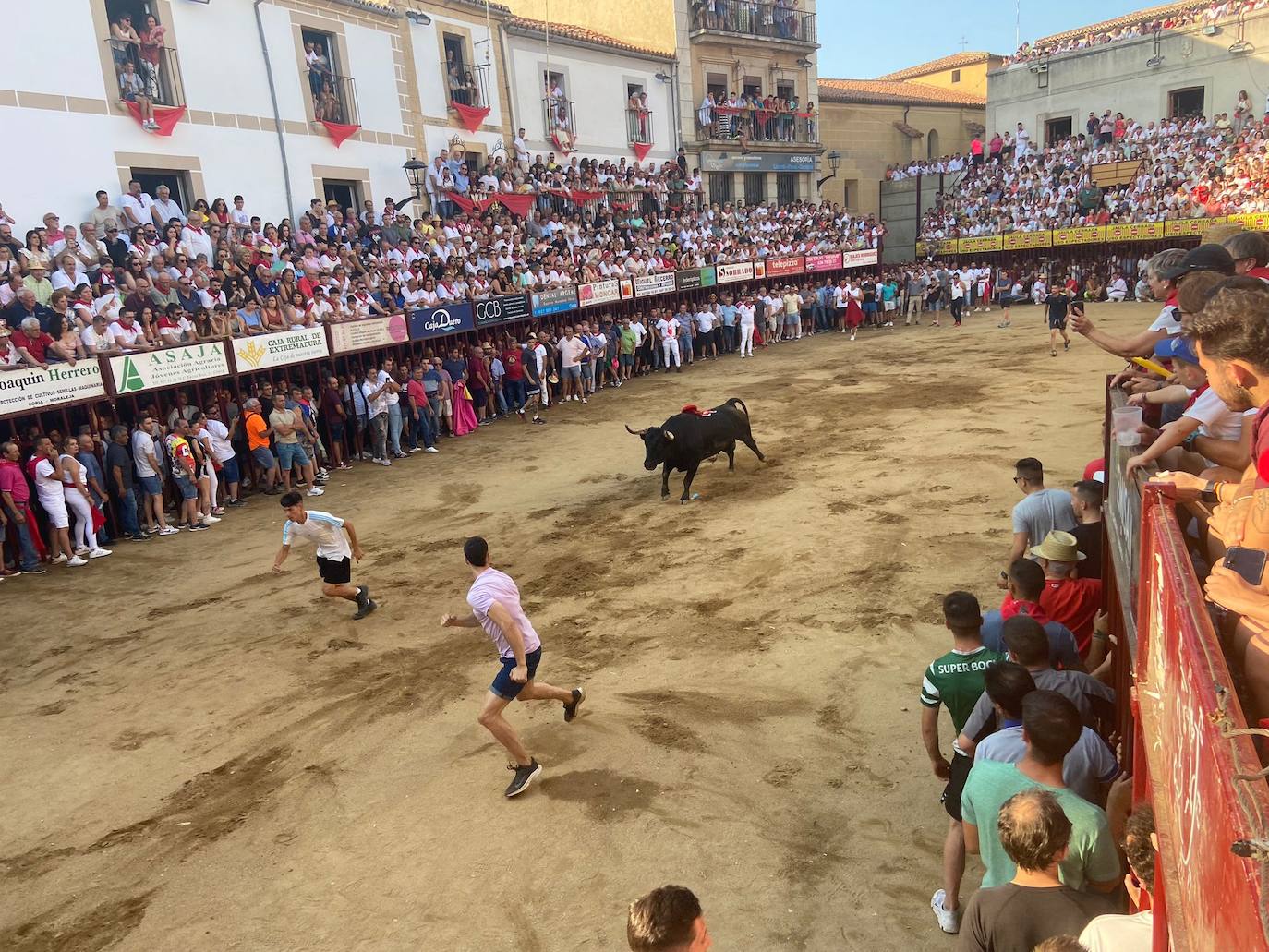 El último encierro de los Sanjuanes de Coria, en imágenes