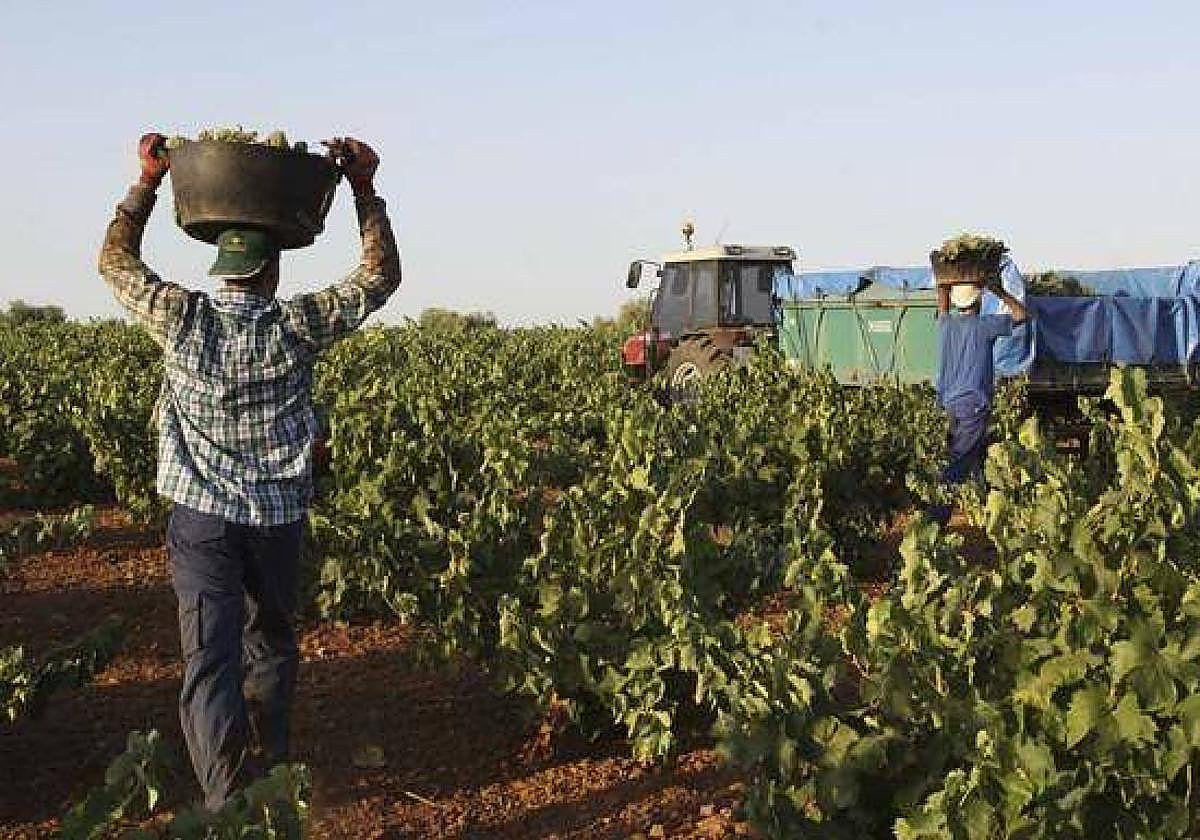 La superficie total solicitada ha sido de 2.812.426,36 hectáreas.