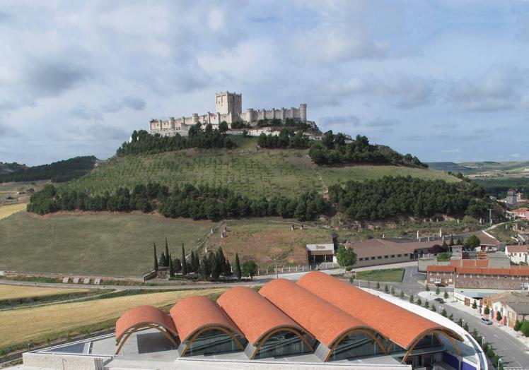 Imagen aérea de Bodegas Protos.