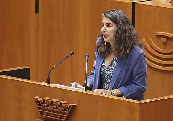 La portavoz de Unidas por Extremadura, Irene de Miguel, durante su intervención en la Asamblea de Extremadura.