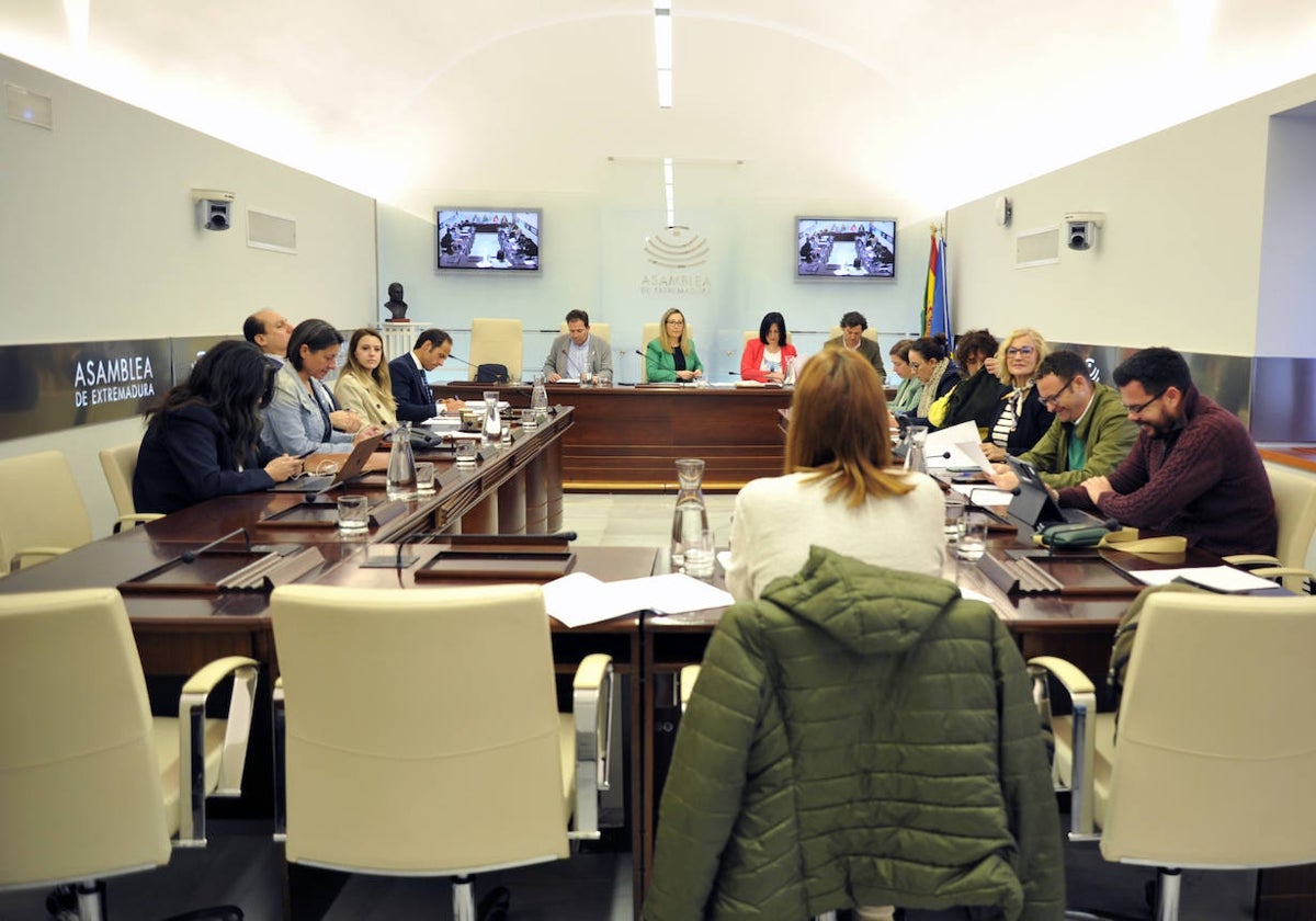 Celebración de una comisión informativa en la Asamblea de Extremadura.