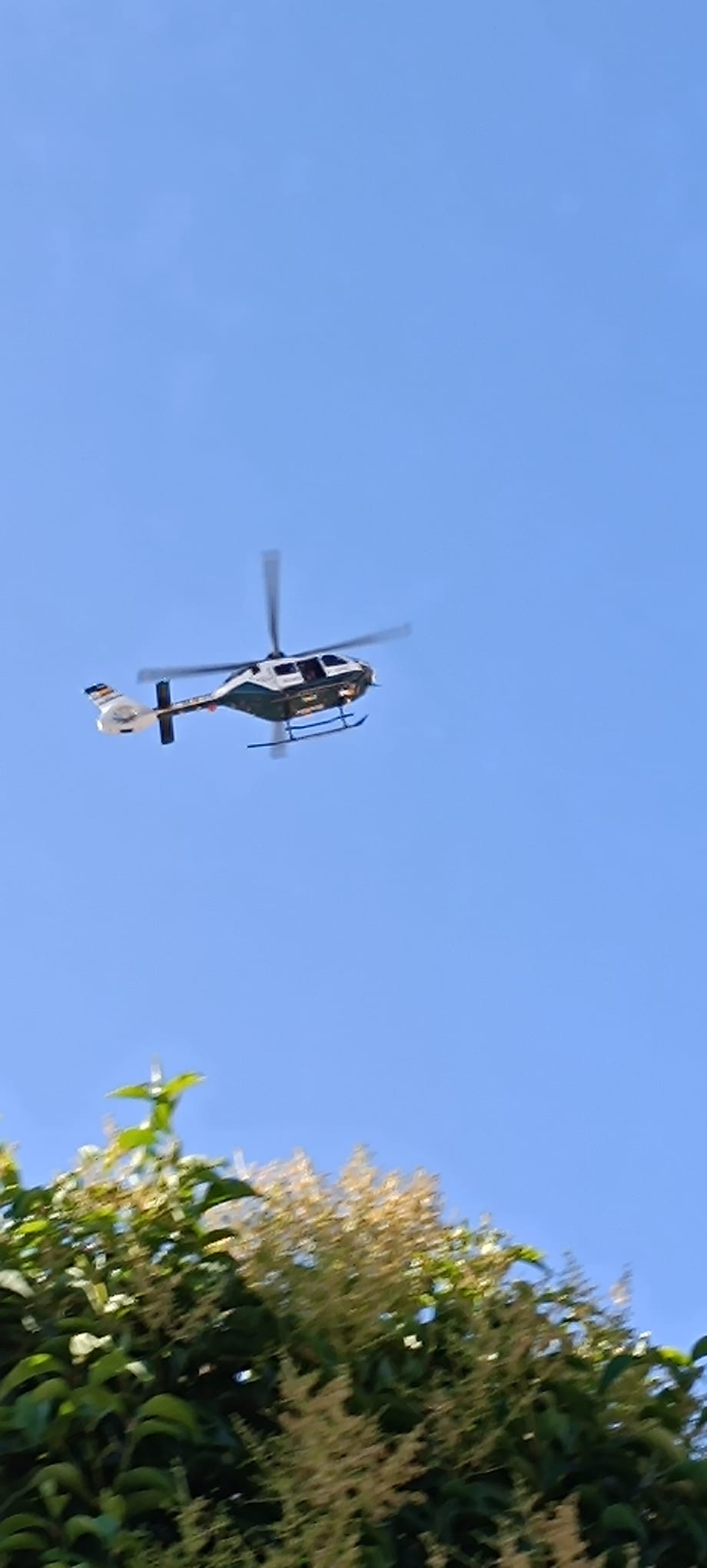 Un helicóptero en la zona.
