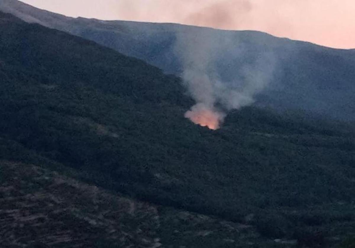Imagen del primer foco fue detectado en el término municipal de Jerte el pasado sábado.