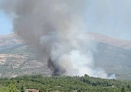 Incendio ayer en Jaraíz de la Vera. Se sofocó a última hora de la tarde.