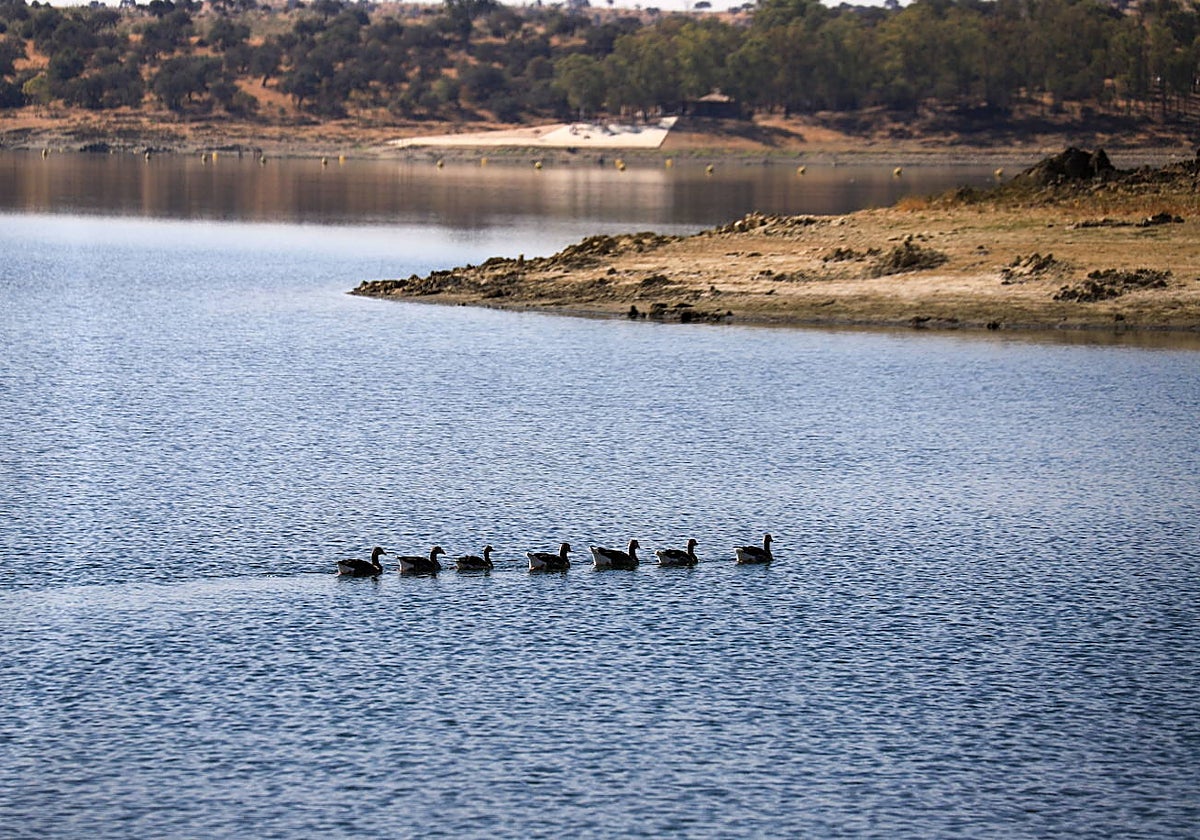 Embalse de Orellana a final de agosto del año pasado.