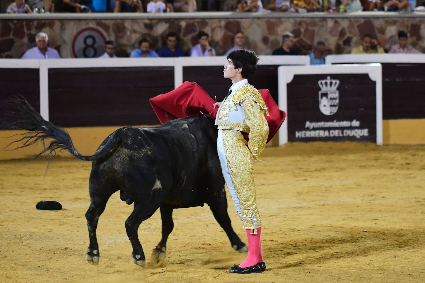 El primer Circuito de Novilladas de Extremadura, en imágenes