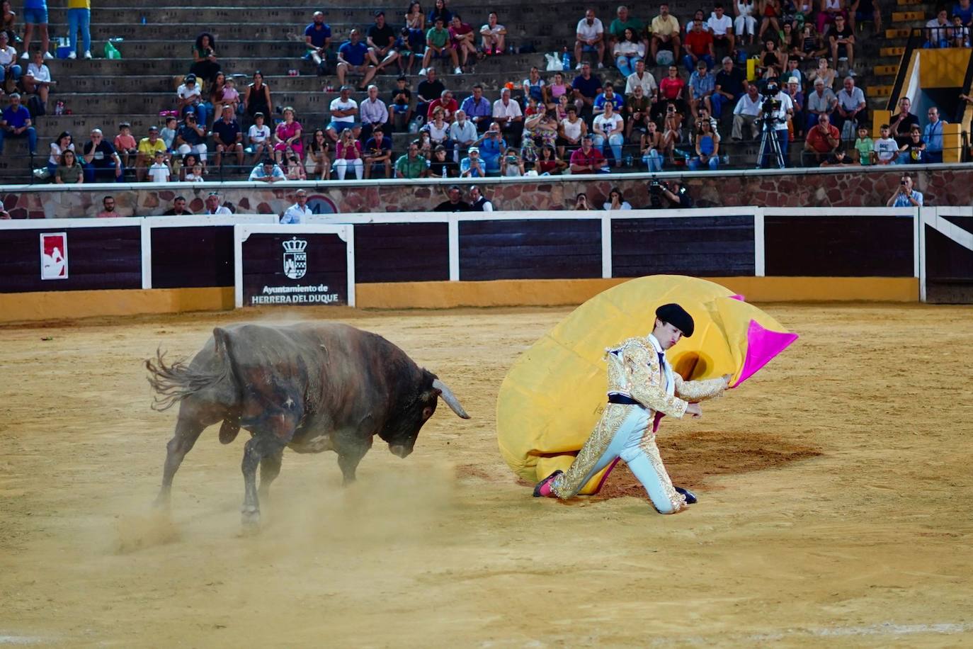 El primer Circuito de Novilladas de Extremadura, en imágenes