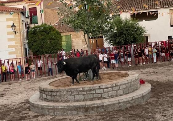 Imagen de un festejo taurino en Mata de Alcántara.