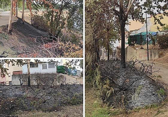 Distintas zonas del parque del Calamón arrasadas por el fuego este pasado martes.