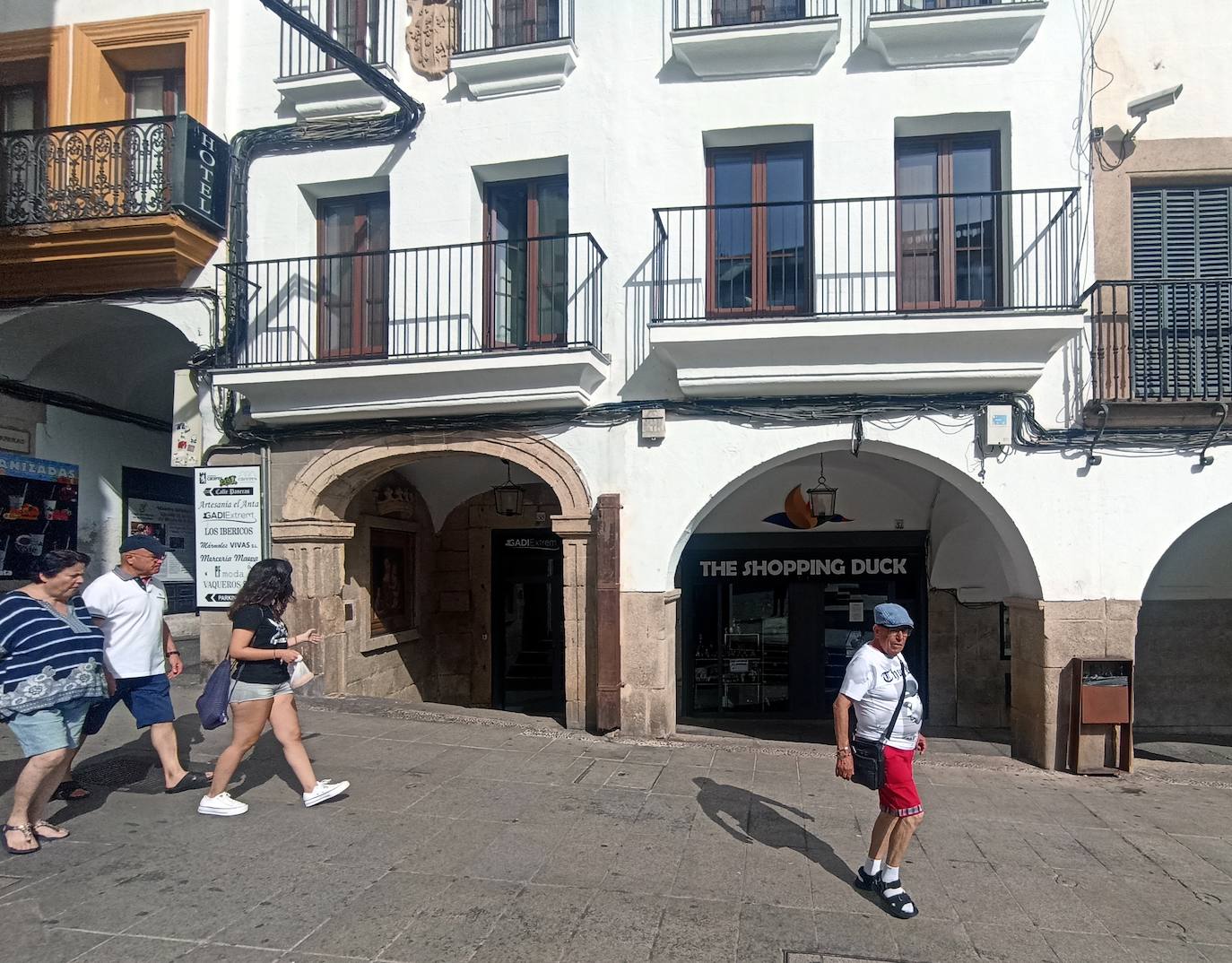 El Portal Llano (antes llamado de Los Escribanos), lo forman los soportales que van desde la calle Pintores a la calle General Ezponda.