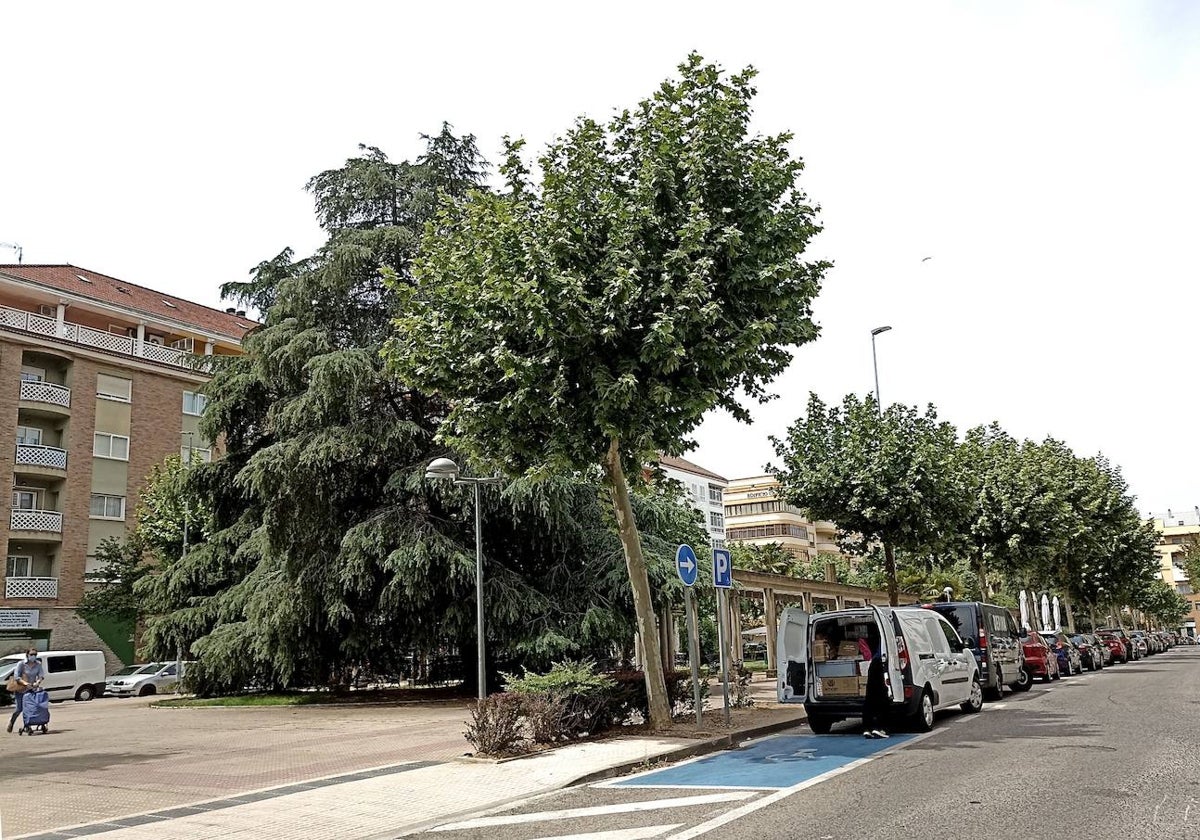 La violación se cometió debajo de un árbol con ramas bajas en la avenida de París.