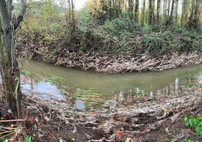 Tramo de la Ribera repleto de toallitas cerca del área en la que se habilitaría un puente de madera.