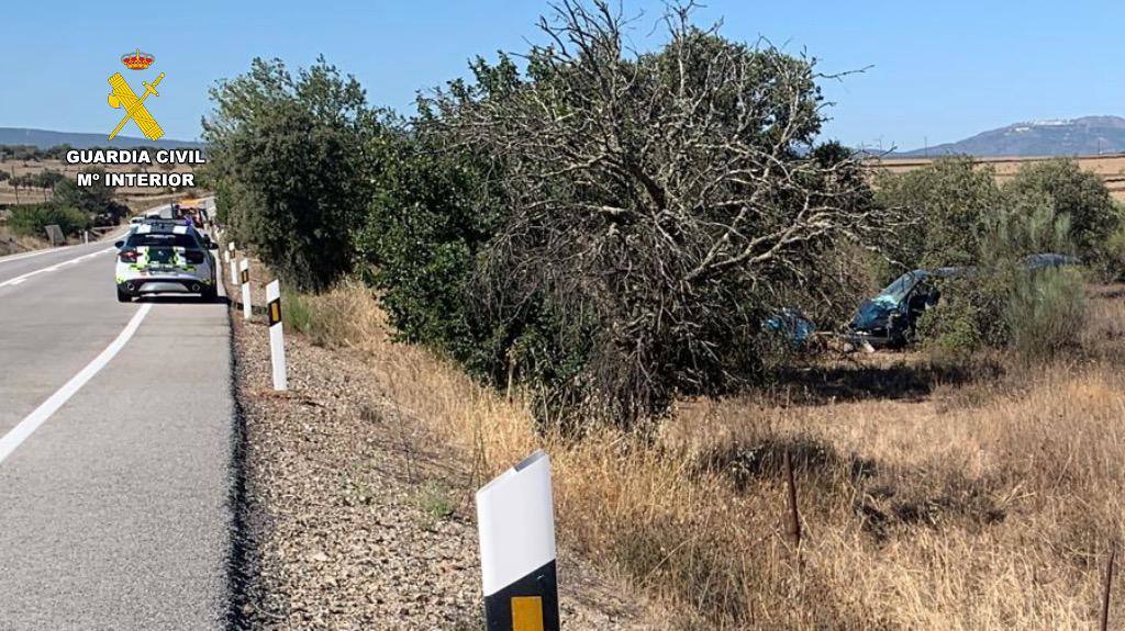 El turismo siniestrado se salió de la calzada e impactó contra un árbol.