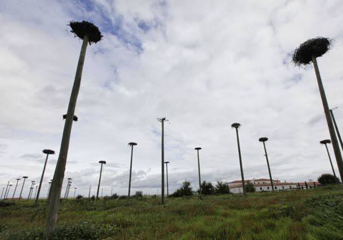 Zona de Los Arenales en la que iba el anterior aeródromo y que no pasó la declaración ambiental.