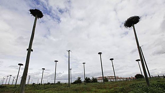 El proyecto del aeródromo de Cáceres, congelado un año después de la DIA negativa