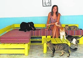 Sandra Prior junto a algunos de los animales que ha rescatado.