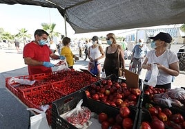 Un puesto de frutas en el mercadillo de Mérida.