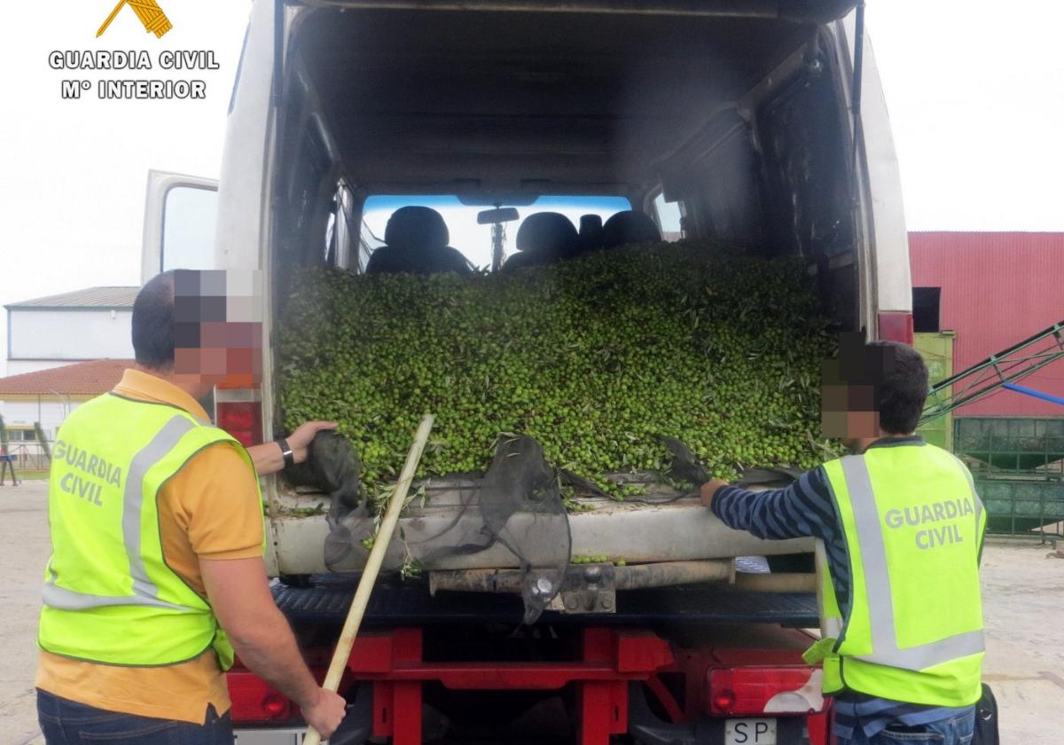 Agentes inspeccionan un cargamento de aceituna robada en Villafranca de los Barros.