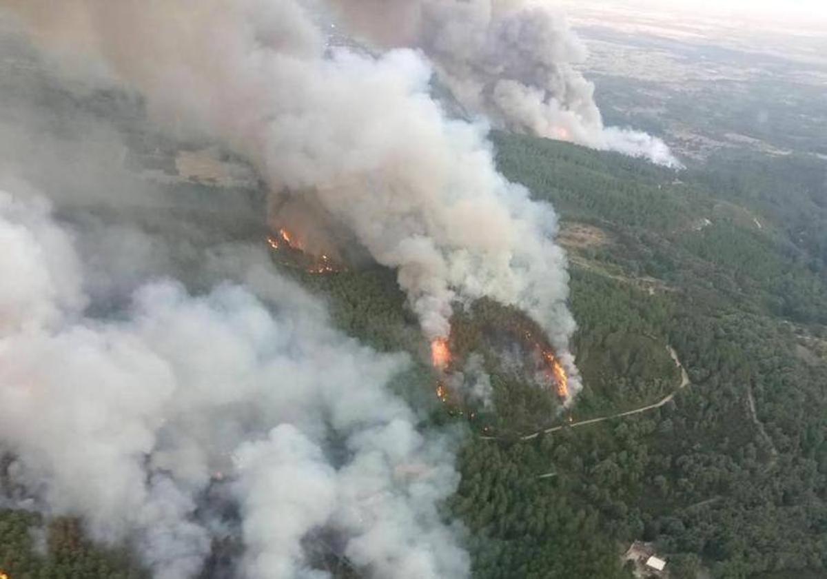 Imagen del incendiode este verano en Villanueva de la Vera.