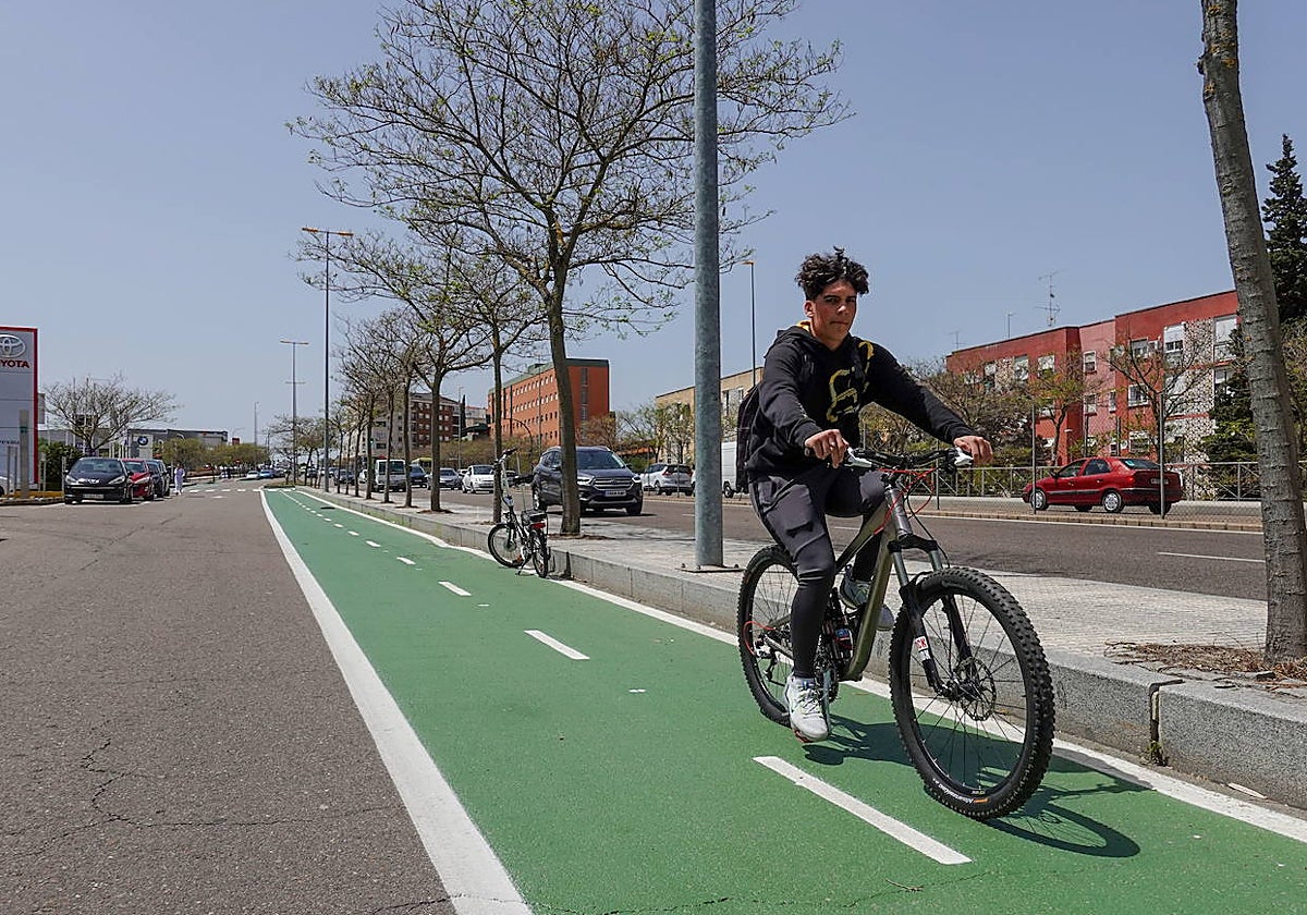 Carril bici en la avenida del Diario HOY.