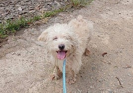 Rivillas antes de ser trasladado a la clínica.