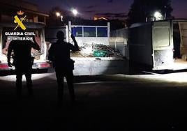 Furgonetas localizadas por la Guardia Civil en las que los ladrones cargaron el material.