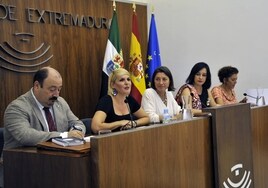 La consejera de Hacienda y Administración Pública, Elena Manzano, en su comparecencia en la Asamblea.