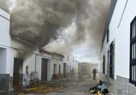Actuación de los bomberos de la Diputación de Badajoz.