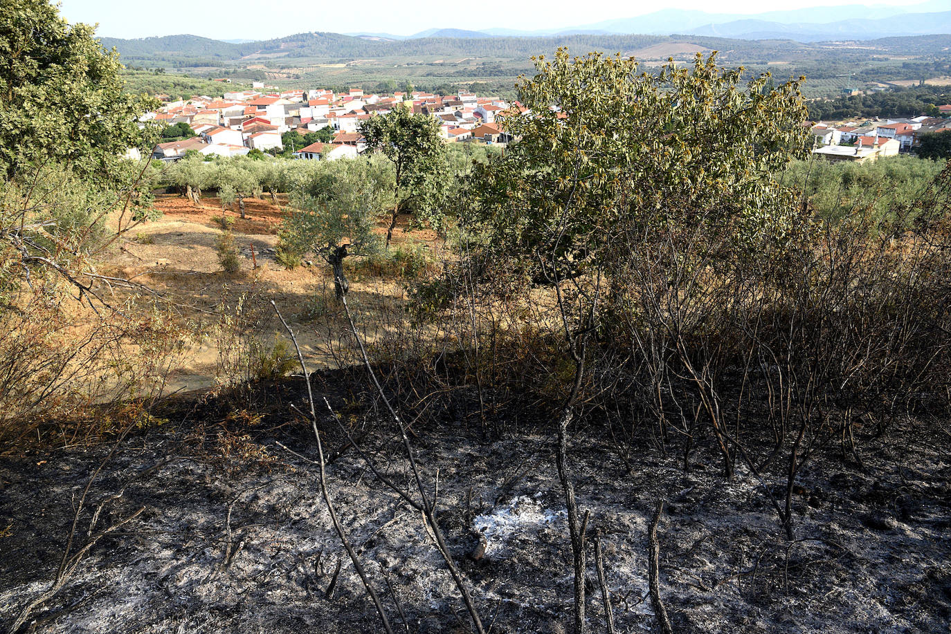 El Infoex actúa en dos incendios forestales y nueve incidentes la pasada semana