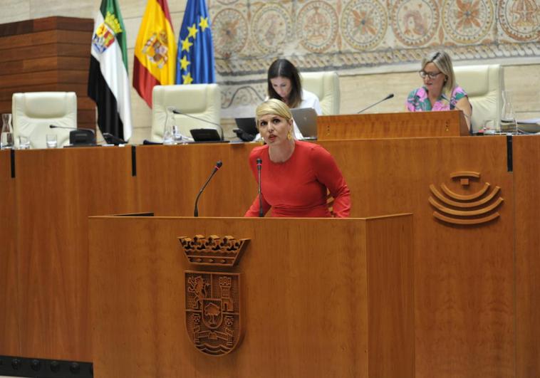 La Asamblea convalida con los votos de PP y Vox la rebaja fiscal de Guardiola
