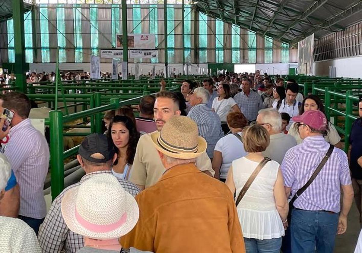 Visitantes en los pabellones del recinto ferial de Zafra.