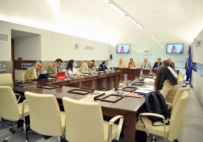 Comisión de Gestión Forestal y Mundo Rural, esta mañana, en la Asamblea.