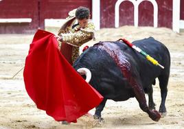 Ginés Marín lidia un toro durante la corrida de rejones de la Feria de San Mateo de Logroño.