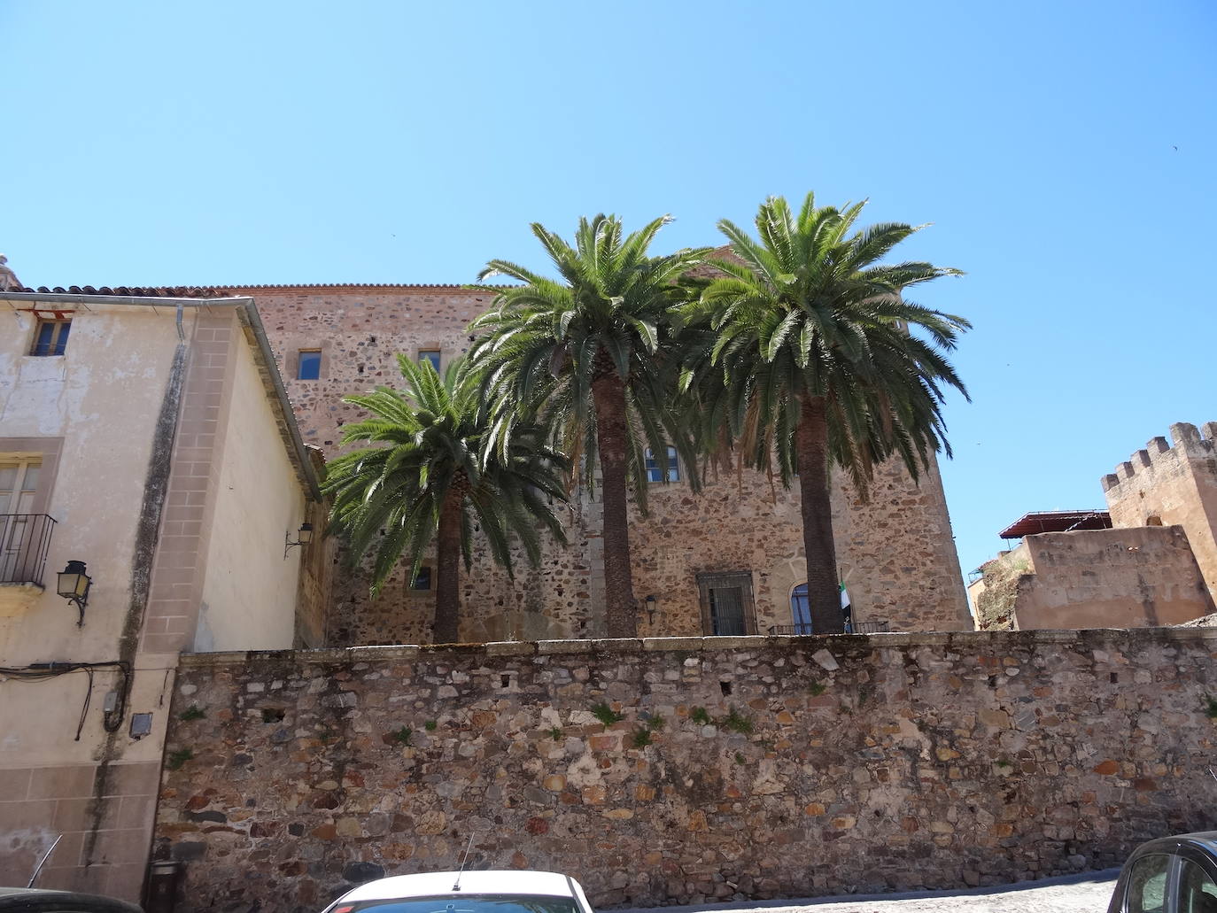 Las tres palmeras que embellecían el palacio de la Generala y daban sombra.