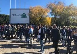 La mala campaña tabaquera moviliza al personal de Cetarsa