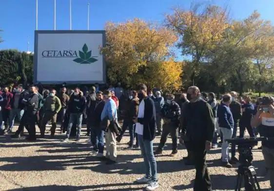 La mala campaña tabaquera moviliza al personal de Cetarsa