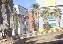 Captura del vídeo que se ha viralizado en redes sociales.