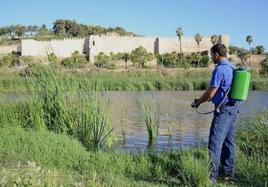 Estabilización incierta de los fertilizantes