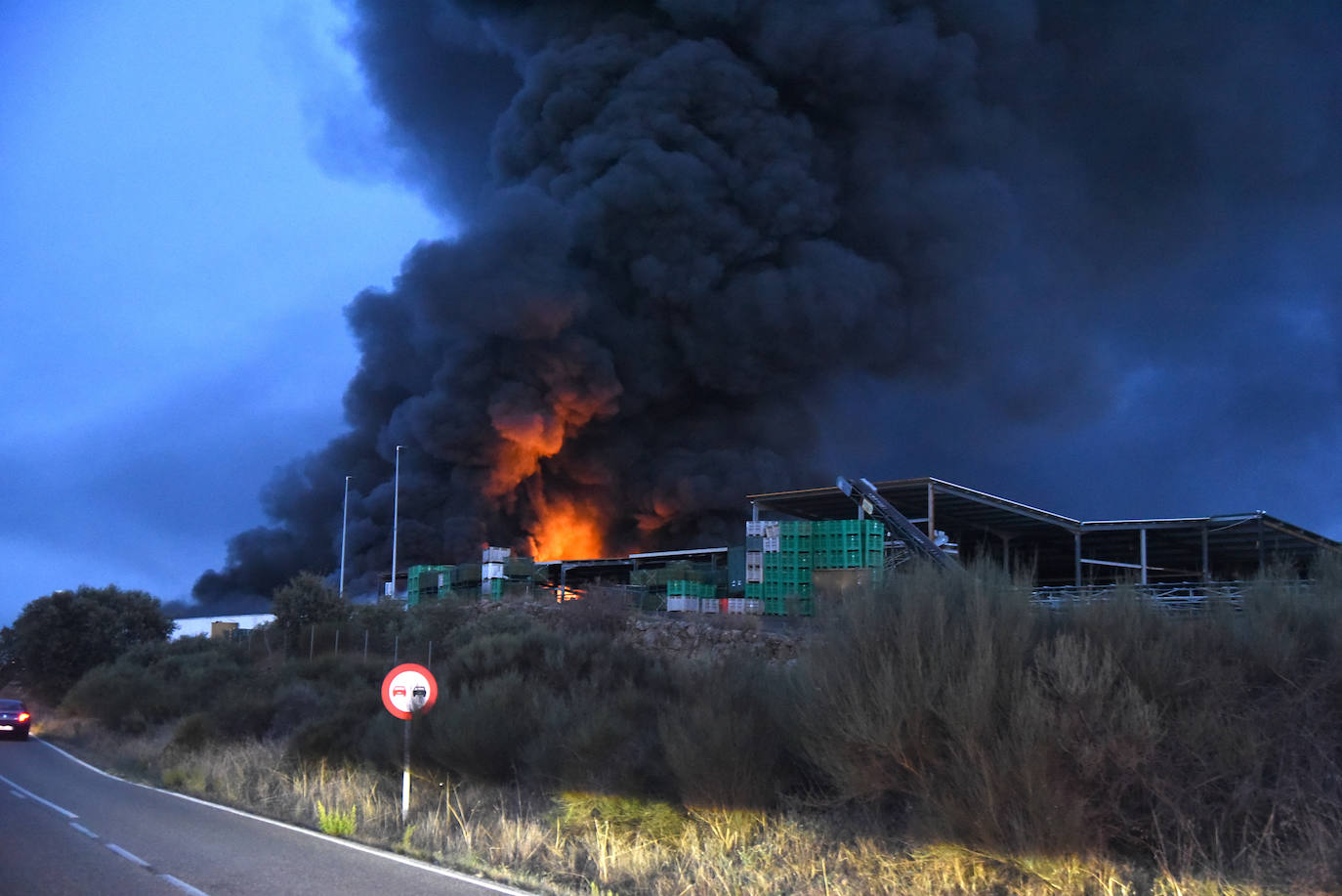 Imágenes del incendio en una aceitunera de Montehermoso