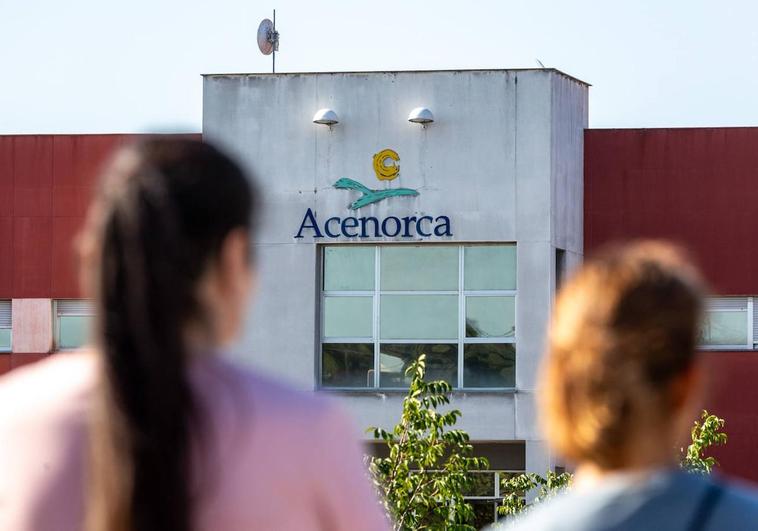 Trabajadoras en las instalaciones de Acenorca.