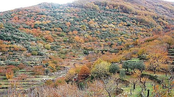 Este es el programa de la Otoñada del Valle del Jerte 2023