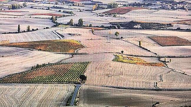 Imagen antes - El universo de Ortega Muñoz convertido en fotografías