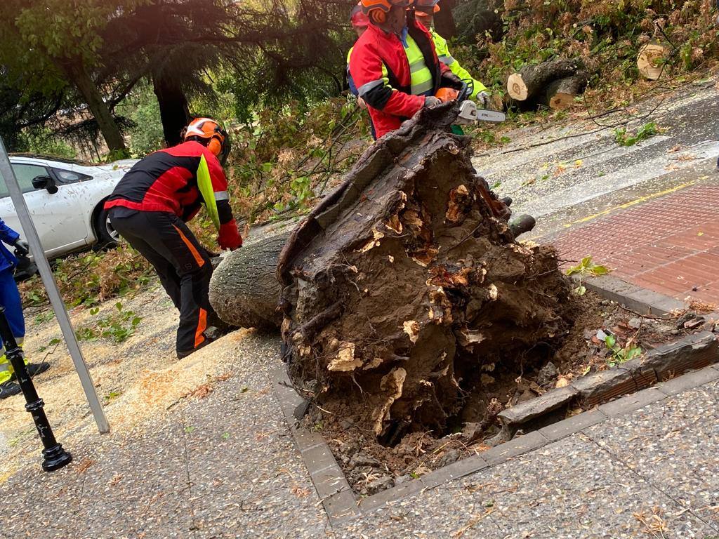 Efectos de la borrasca Aline en Badajoz