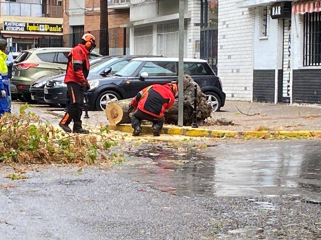 Efectos de la borrasca Aline en Badajoz