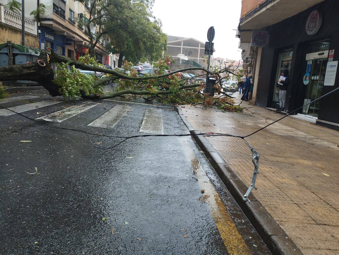 Temporal de viento y lluvia en Extremadura