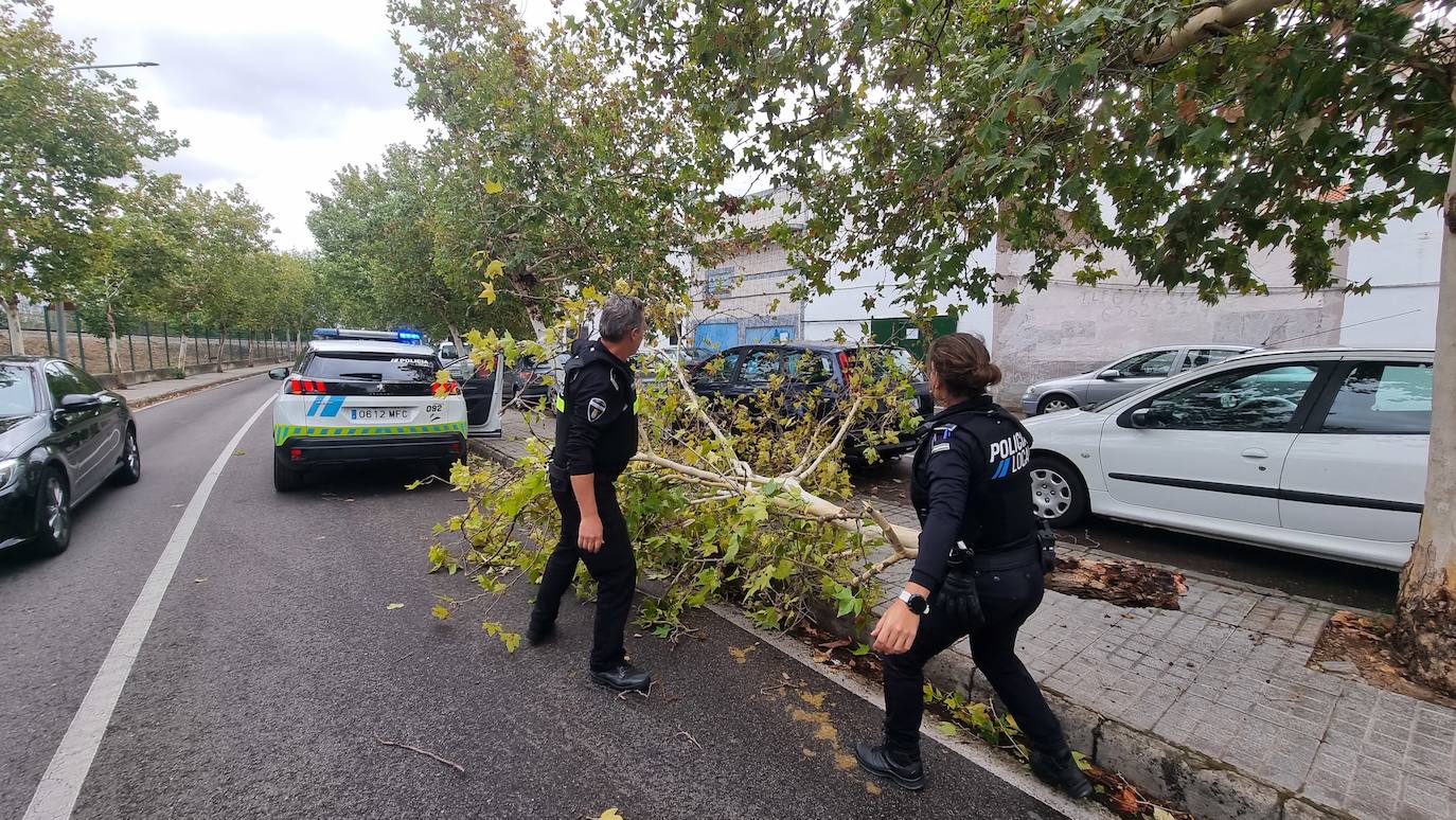 La borrasca Aline a su paso por Mérida