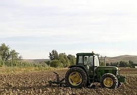 Un agricultor extremeño arando la tierra para su próximo cultivo.