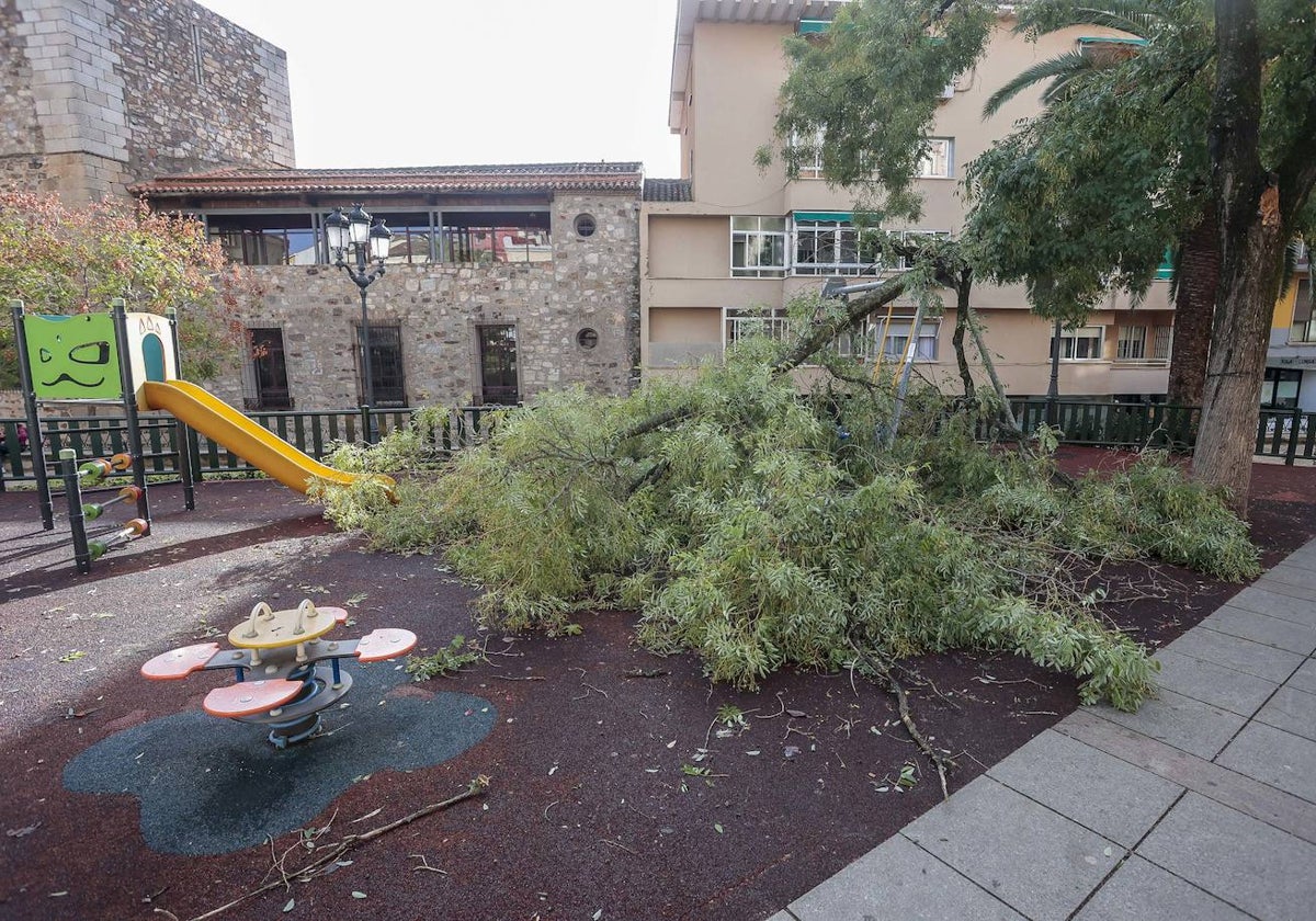 Extremadura recupera la normalidad tras los daños causados por la borrasca Aline