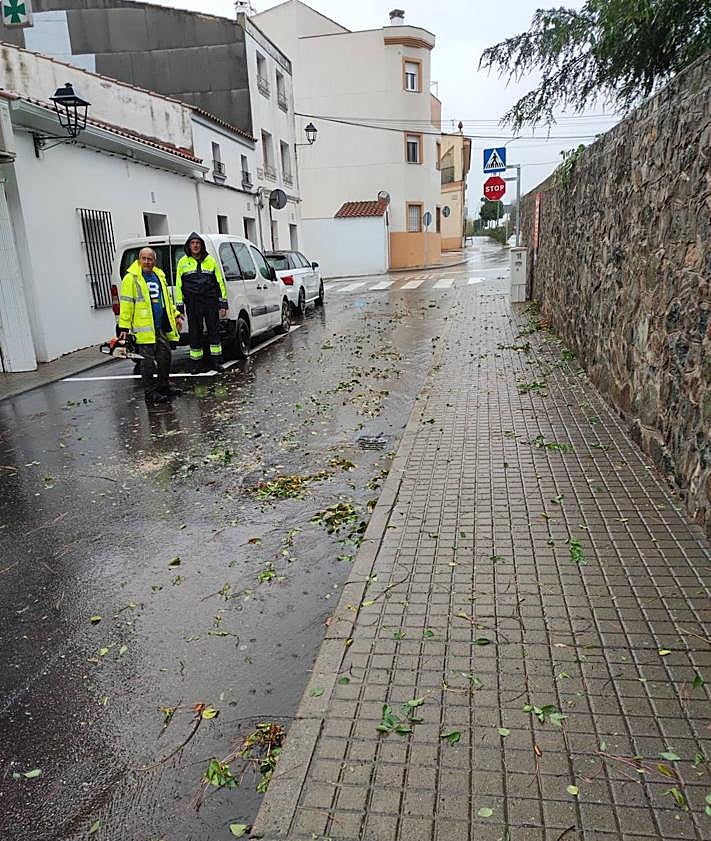 Imagen secundaria 2 - La borrasca Aline deja varias ramas de árboles caídas a su paso por Fregenal