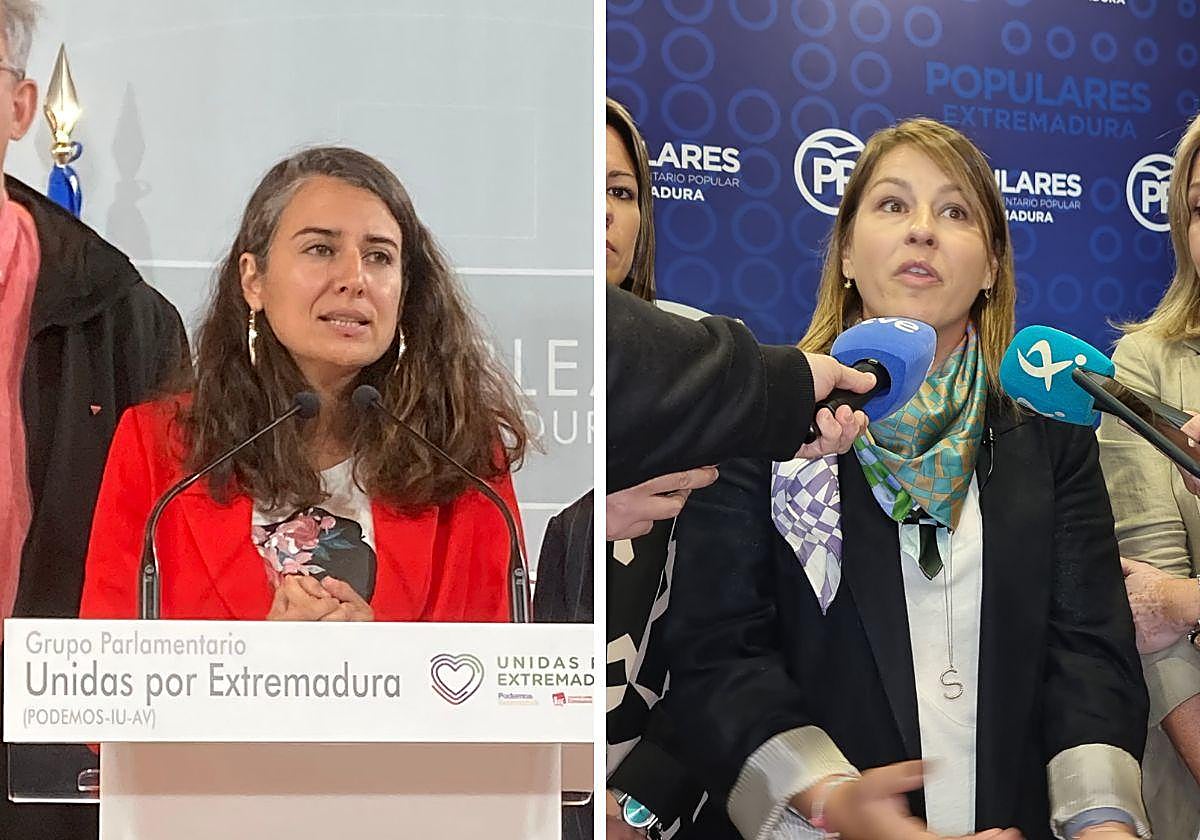 De Miguel en la rueda de prensa que ha ofrecido este viernes en la Asamblea de Extremadura.